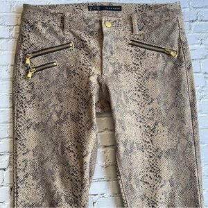 Zara Snake Print Pants with Gold Zippers